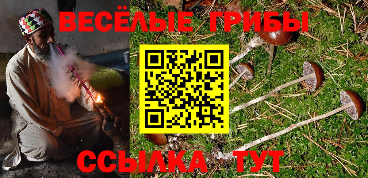 Галлюциногенные грибы мицелий  Вход с VPN  Псилоцибиновые грибы Cubensis  Кумертау 