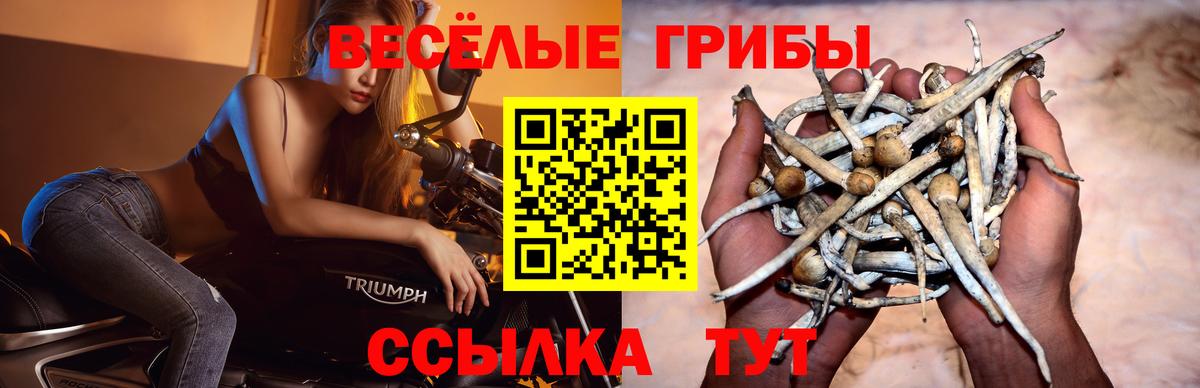 Псилоцибиновые грибы ЛСД Кумертау